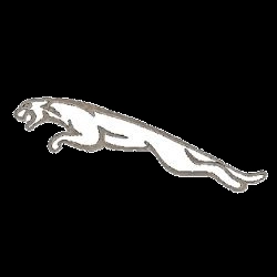 Jaguar Logo